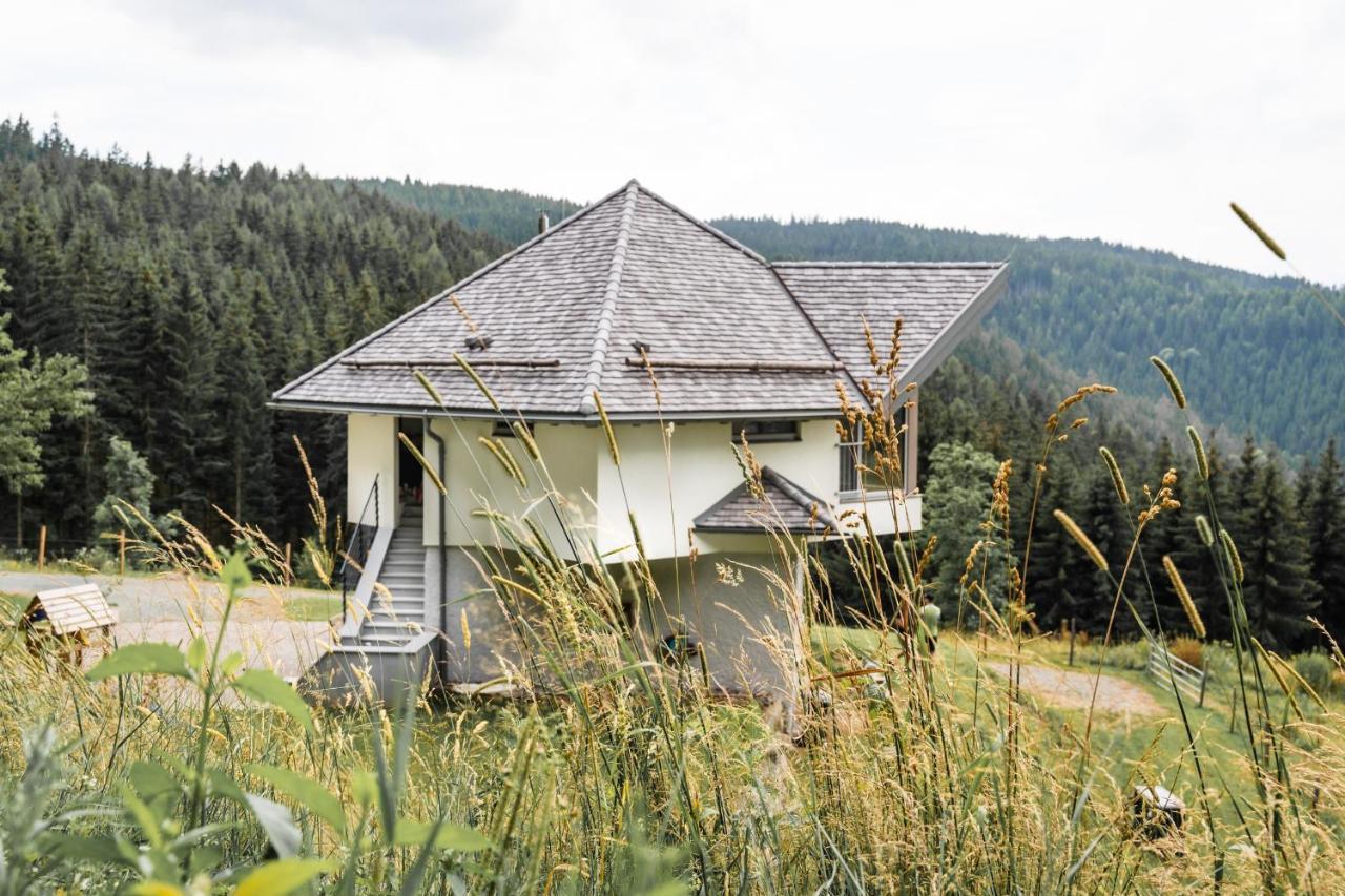 Вилла Forsthaus Gray 4 Санкт-Файт-ан-дер-Глан Экстерьер фото